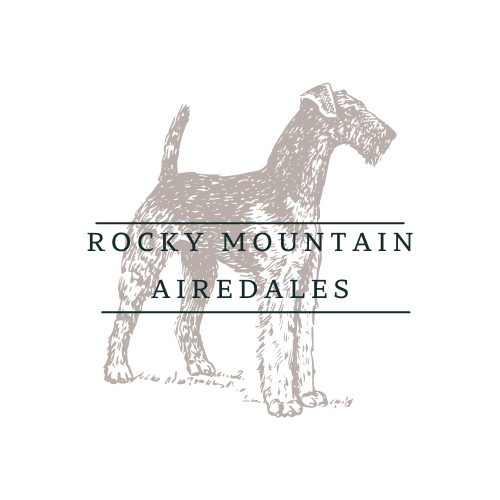 logo for Rocky Mountain Airedales